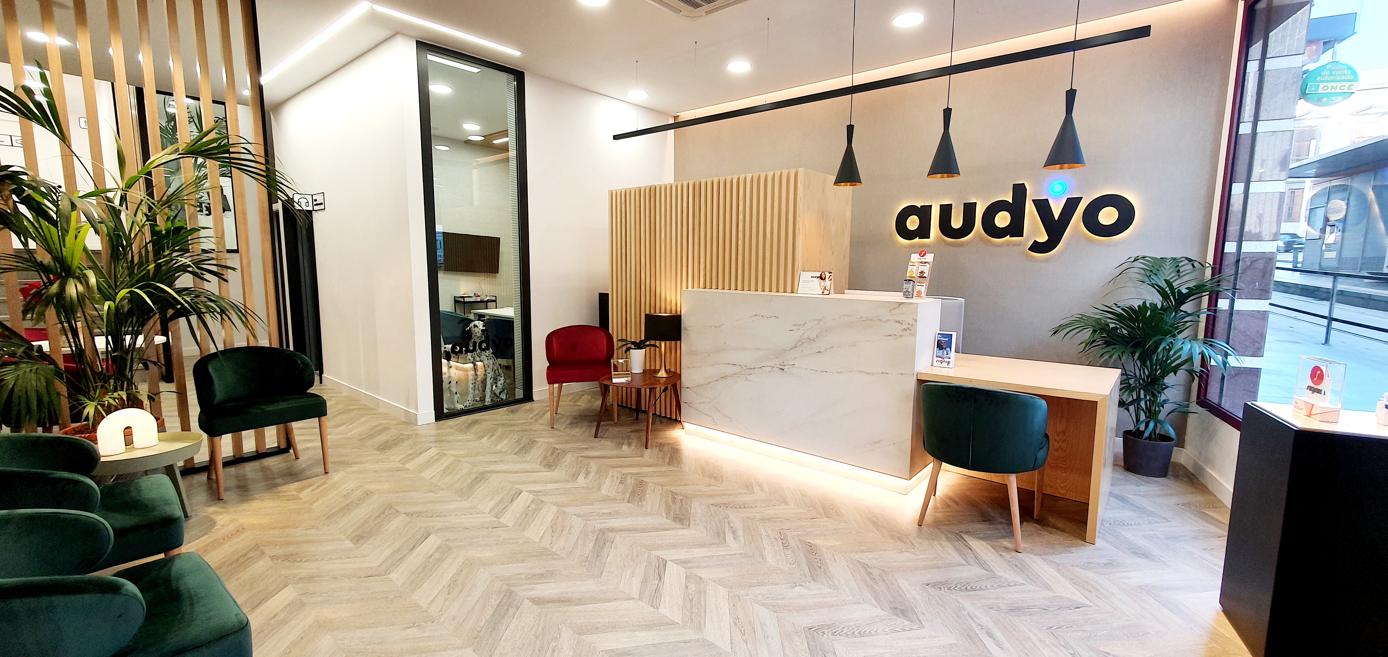 Interior de Audyo Santa Cruz de Tenerife